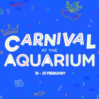 carnival at the aquarium