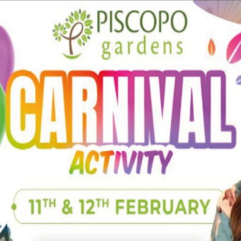 Carnival at Piscopo gardens