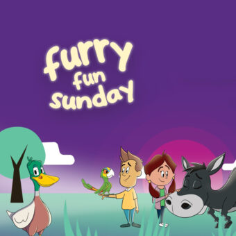 furry fun sunday event PP